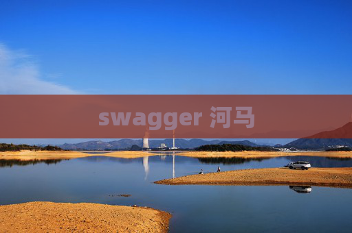 swagger 河马